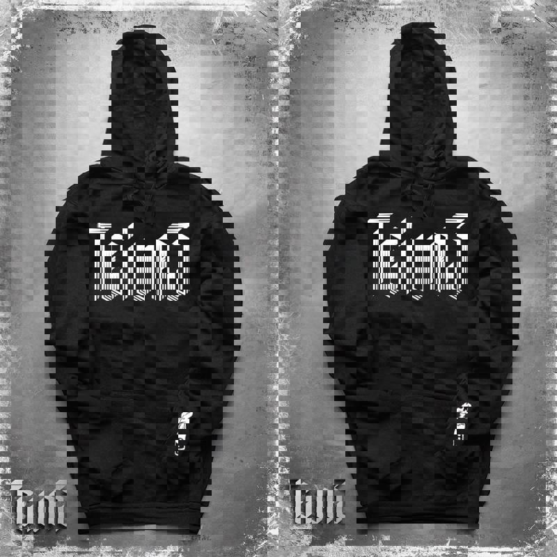 Худі Teivaz Logo