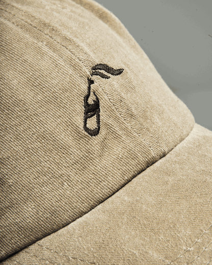 Кепка «molotov coyote»